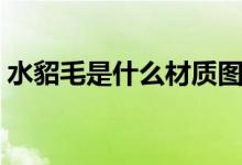 水貂毛是什么材质图片（水貂毛是什么材质）
