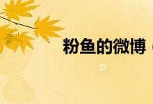 粉鱼的微博（粉鱼的直播间）