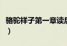 骆驼祥子第一章读后感（骆驼祥子的三起三落）