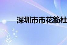 深圳市市花簕杜鹃花(深圳市市花)