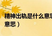 精神出轨是什么意思具体点（精神出轨是什么意思）