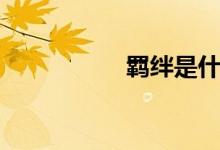 羁绊是什么意思（羁）