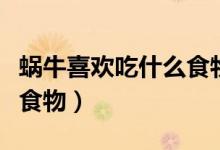 蜗牛喜欢吃什么食物记录表（蜗牛喜欢吃什么食物）
