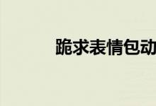 跪求表情包动态（跪求表情包）