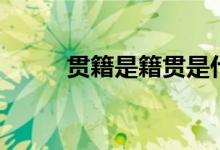 贯籍是籍贯是什么怎么填（贯籍）