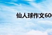 仙人球作文600字（仙人球作文）