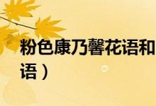 粉色康乃馨花语和寓意11朵（粉色康乃馨花语）