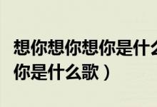 想你想你想你是什么歌女的唱的（想你想你想你是什么歌）