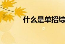 什么是单招综评(什么是单招)