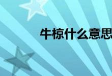 牛椋什么意思（牛犇什么意思）