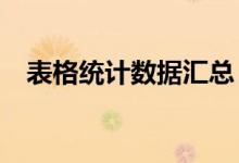 表格统计数据汇总(excel表格字数统计)