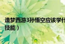 造梦西游3孙悟空应该学什么技能（造梦西游3孙悟空学什么技能）