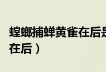 螳螂捕蝉黄雀在后是什么生肖（螳螂捕蝉黄雀在后）