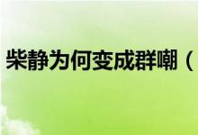 柴静为何变成群嘲（柴静为什么被称为柴婊）