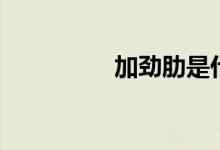 加劲肋是什么（加劲肋）