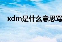xdm是什么意思骂人（xdm是什么意思）