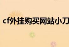 cf外挂购买网站小刀加速（cf外挂购买网站）