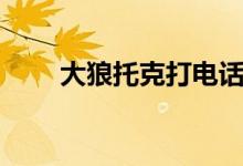 大狼托克打电话（色大狼先峰影音）