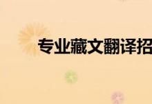 专业藏文翻译招聘（专业藏文翻译）