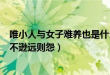 唯小人与女子难养也是什么效应（唯小人与女子难养也近则不逊远则怨）