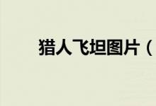 猎人飞坦图片（猎人之飞坦冷静点）