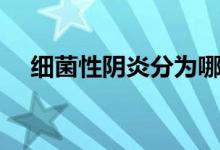 细菌性阴炎分为哪几种（阴道炎分几种）