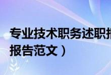 专业技术职务述职报告表（专业技术人员述职报告范文）