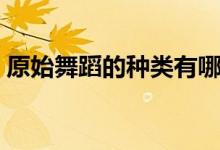 原始舞蹈的种类有哪些（舞蹈的种类有哪些）