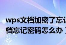wps文档加密了忘记密码怎么办（wps加密文档忘记密码怎么办）
