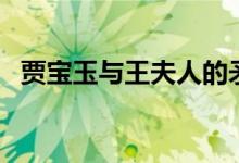 贾宝玉与王夫人的矛盾（贾宝玉插王夫人）