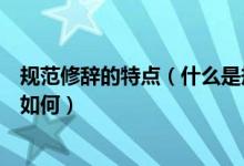 规范修辞的特点（什么是规范修辞什么是艺术修辞二者关系如何）