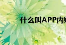 什么叫APP内购买（什么叫app）