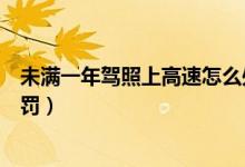 未满一年驾照上高速怎么处罚（驾驶证实习期上高速怎么处罚）