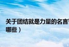 关于团结就是力量的名言警句（团结就是力量的名言警句有哪些）