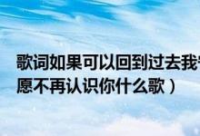 歌词如果可以回到过去我宁愿不认识你（如果能回到过去宁愿不再认识你什么歌）