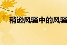 稍逊风骚中的风骚原指什么（稍逊风骚）