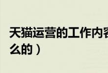 天猫运营的工作内容有哪些（天猫运营是做什么的）