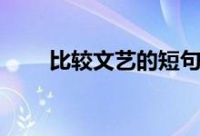 比较文艺的短句（比较文艺的句子）