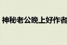 神秘老公晚上好作者沐歌（神秘老公晚上好）