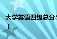 大学英语四级总分584分（大学英语四级总分）