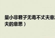 量小非君子无毒不丈夫意思有道理吗(量小非君子无毒不丈夫的意思)