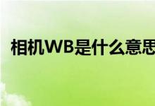 相机WB是什么意思（相机wb是什么意思）