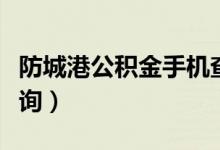 防城港公积金手机查询（防城港住房公积金查询）