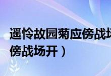 遥怜故园菊应傍战场开的意思(遥怜故园菊应傍战场开)