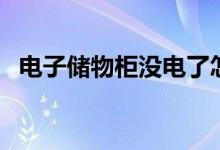 电子储物柜没电了怎么打开（电子储物柜）