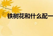 铁树花和什么配一起能治肿瘤（铁树花）