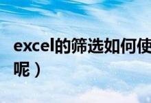 excel的筛选如何使用（excel筛选功能怎么用呢）