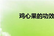 鸡心果的功效与作用（鸡心果）