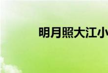明月照大江小说（明月照大江）