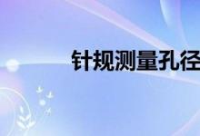 针规测量孔径判定标准（针规）